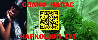jwh Нальчик