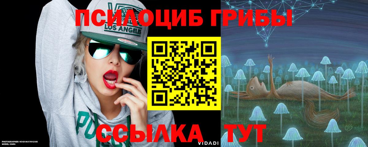 Галлюциногенные грибы Psilocybine cubensis Улан-Удэ
